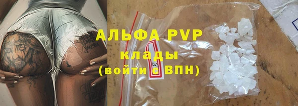спайс Богданович