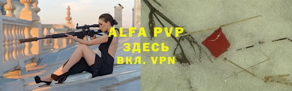 спайс Богданович