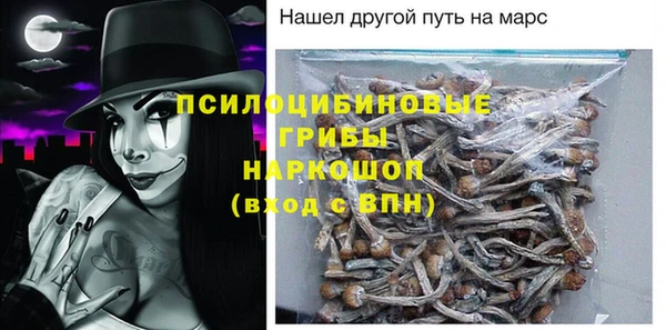 спайс Богданович