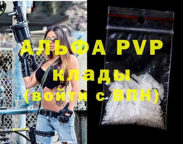 спайс Богданович